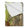 thumbnail image 2 of Zoo Soft Flannel Fleece Throw Blanket, Leopard Panthera Pantus on Tree Nature Reserve Botswana Carnivore Animal, Cozy Plush for Indoor and Outdoor Use, 50" x 70", Green Pale Brown White, by Ambesonne, 2 of 5