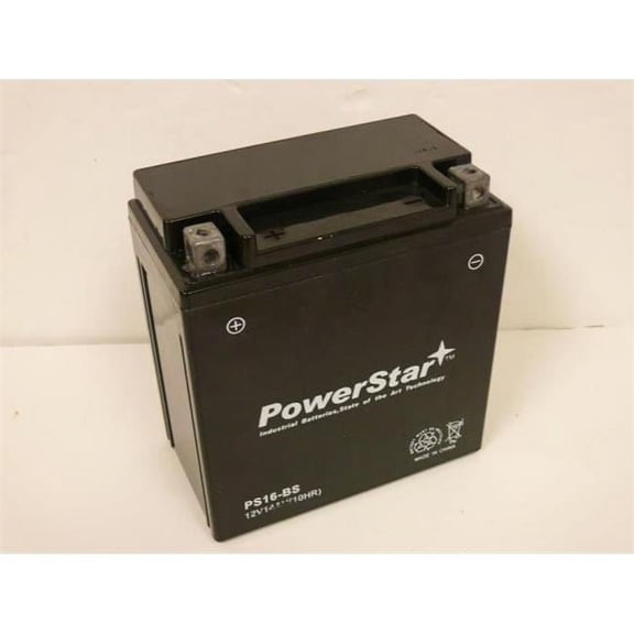 Replacement Ytx16-Bs Sealed And Maintenance Free Motorsport Battery