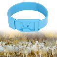 thumbnail image 1 of Sheep Identification Collar Marking Ring with Safe PU Material and Lightweight Design, for Livestock Management, 1 of 7