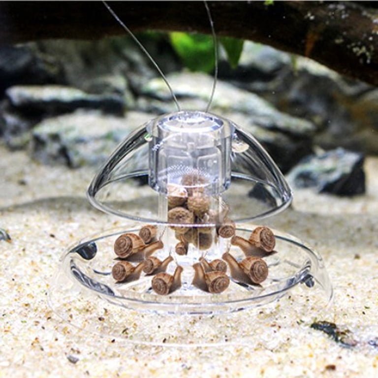 Superfish Snail Trap / slakkenval