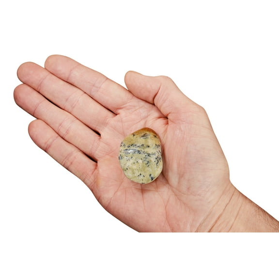 Kidz Rocks Dendrite Agate 2" Tumbled Healing Crystal Natural Stone Rock Mineral