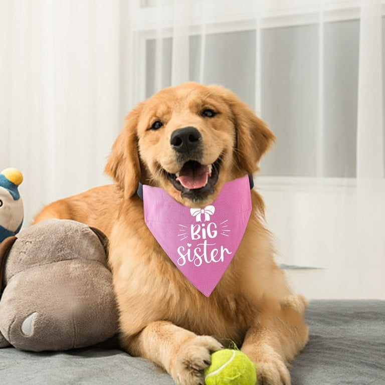 Why Is My Dogs Mouth Watering