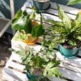 thumbnail image 6 of Bobasndm 1 Pack Planter Pots with Tray, Modern Indoor Outdoor Plastic Planter Pots for Small Plants Succulent Nursery Orchid Home Office Decor Gardening, 6 of 9