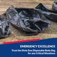 thumbnail image 4 of Dixie Ems Heavy-Duty Emergency Transport Pouch with Handles and Tags – Waterproof & Tear-Resistant, 4 of 6