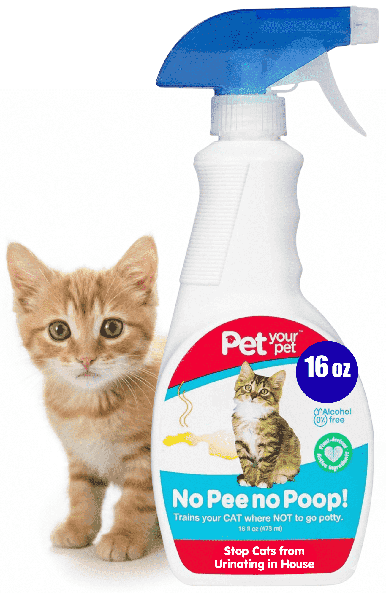 Litter Box Spray To Keep Cats Away From Yard Advice On How To Deter  Neighborhood Cats/