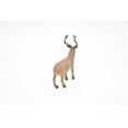 thumbnail image 5 of Elk, Wapiti, Realistic Rubber Model, Hand Painted Figurine 3.5" CH146B46, 5 of 9
