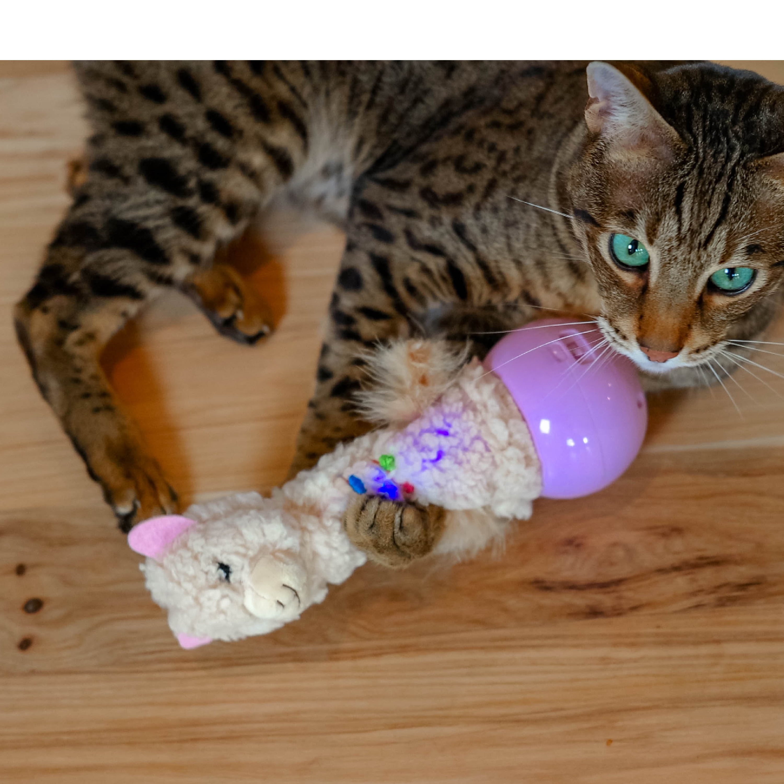 Catstages Electronic Dancing Llama Interactive Cat Toy, Wobbles and Plays Music, Battery Powered, Plush, White