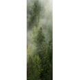 thumbnail image 2 of Amos, Andy 11x24 Gold Ornate Wood Framed with Double Matting Museum Art Print Titled - Smoky Forest Panel I, 2 of 4