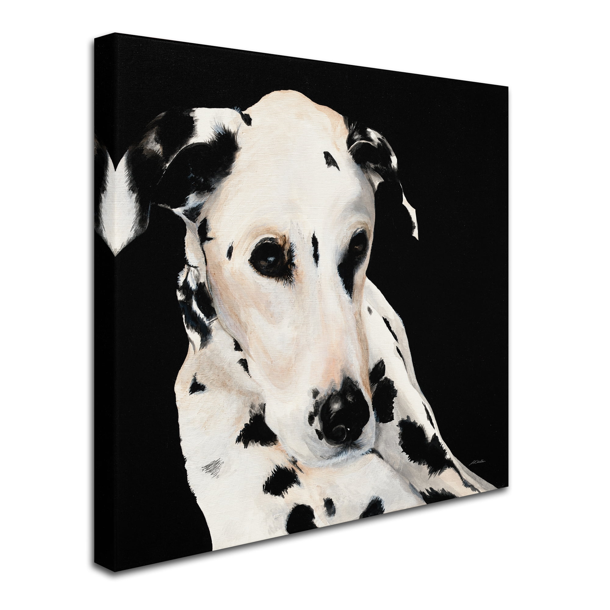 Trademark Fine Art 'Smokey' Canvas Art by Patsy Ducklow