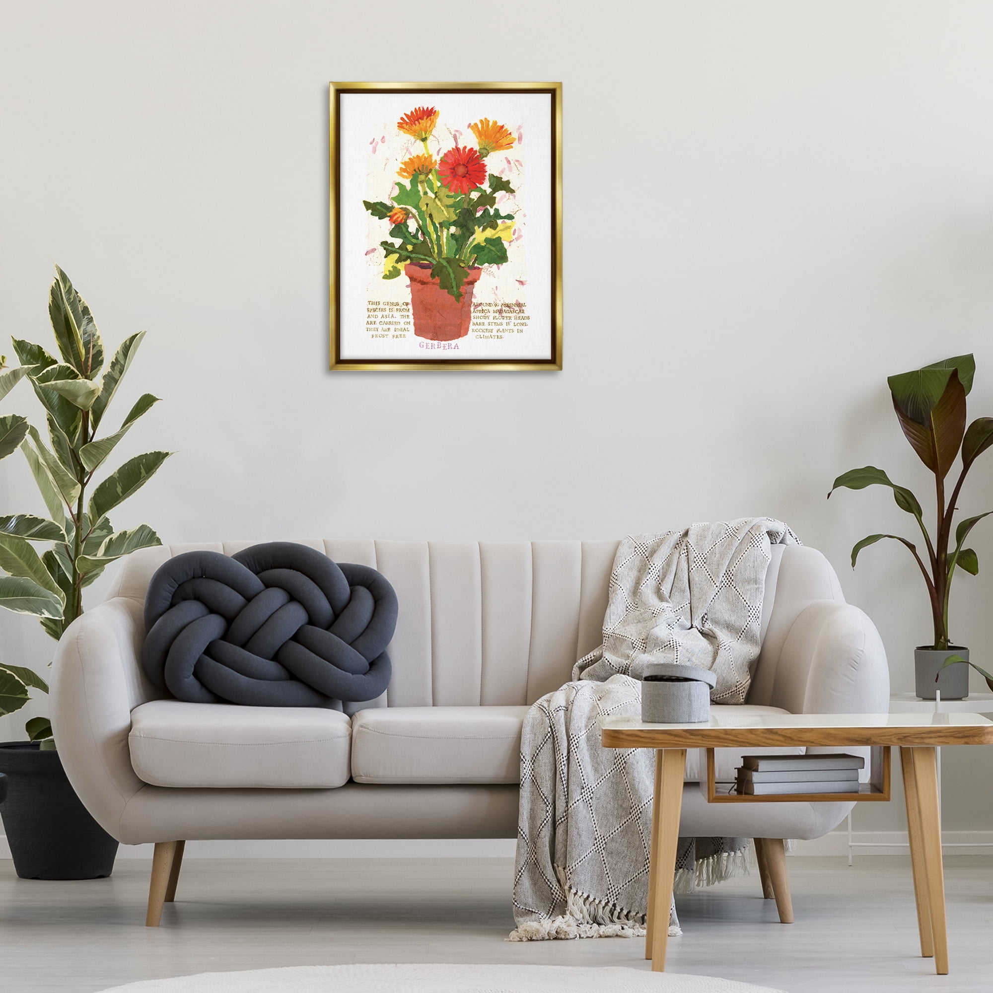 Stupell Industries Potted Gerbera Daisies Botanical & Floral Painting Gold Floater Framed Art Print Wall Art, 25 x 31