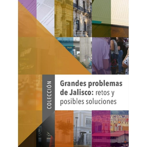 Grandes problemas de Jalisco El Colegio de Jalisco retos y posibles soluciones 9786078657278
