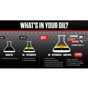 Genuine Echo Red Armor 2 Stroke Oil 12.8 Bottle 5 Gallon Mix