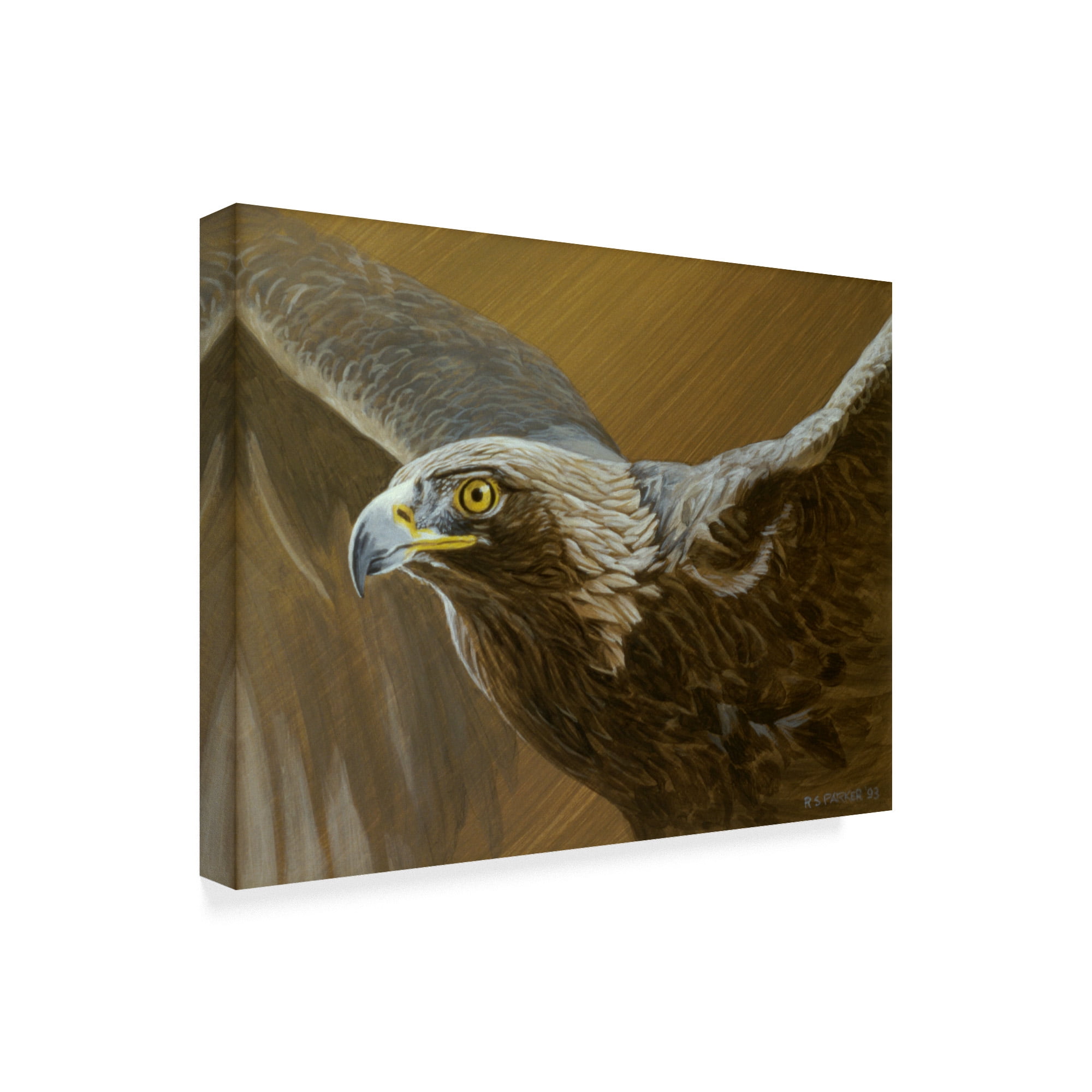 Trademark Fine Art 'Golden Eagle' Canvas Art by Ron Parker
