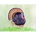 thumbnail image 2 of Wild Turkey Door Mat 30x50, 2 of 3