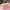 Pink, variant on ChicYu Full Size Washed Cotton Air Conditioning Quilt,Coolings Bedding for Hot Sleepers,Thin Quilt Core with Reinforced Edges,Machine Washable for Dorms