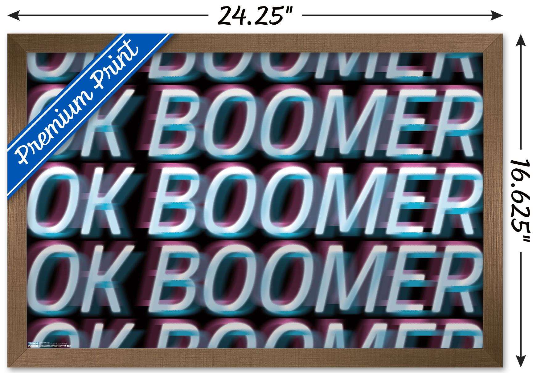 Ok Boomer Wall Poster, 14.725" x 22.375", Framed