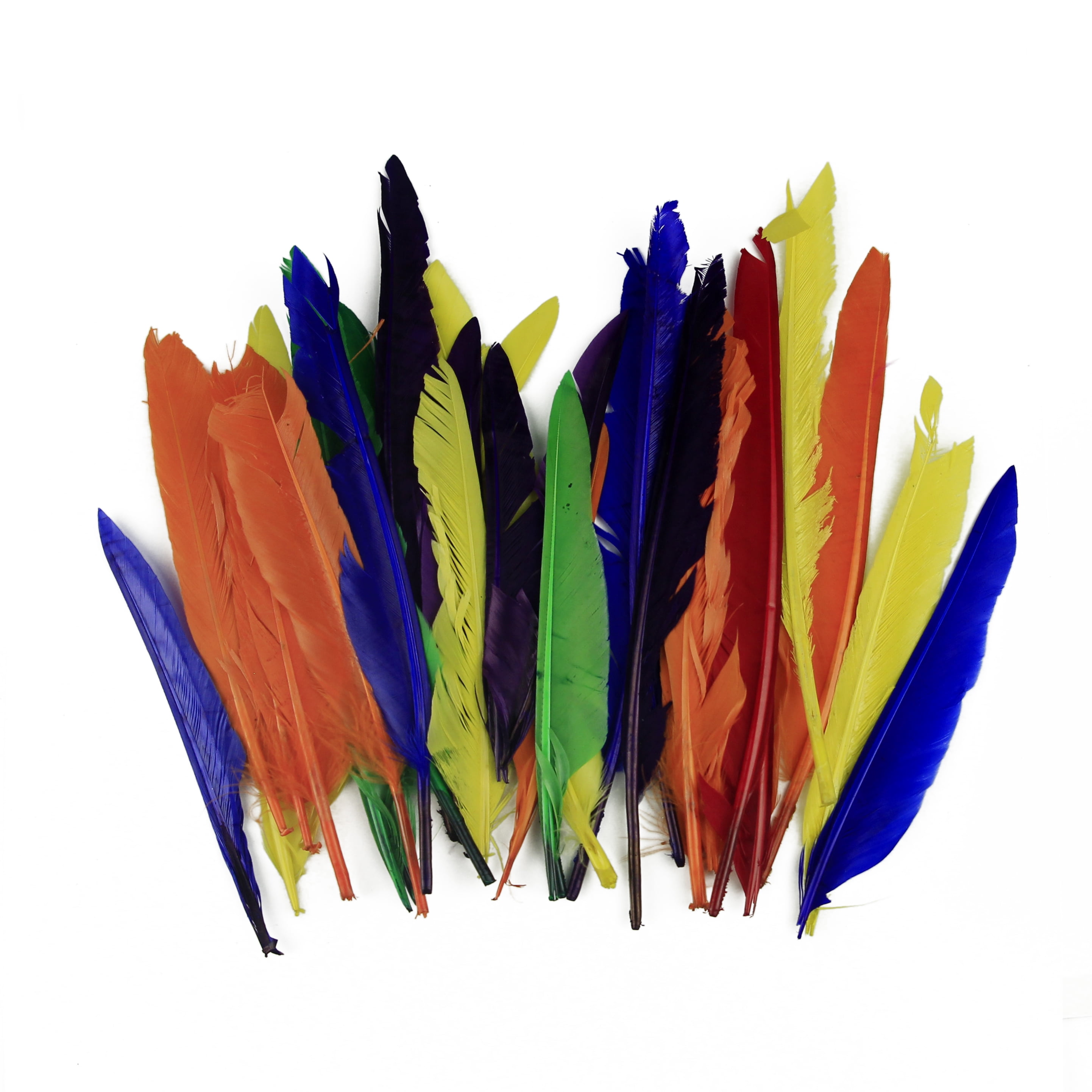 Arts And Crafts 50 Pieces Set Natural Colourful DIY Feather Craft Toy  Creative Natural Animal Feather Manual DIY Material Decoration Toy For Arts  And Crafts for Kids Ages 2-4 Paint : 