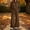 Brown, variant on Sevevn Women's Fall Lightweight 2‑Piece Sweatsuit Outfit, Relaxed Cropped Hoodie with Wide‑Leg Pants for Daily Casual Wear