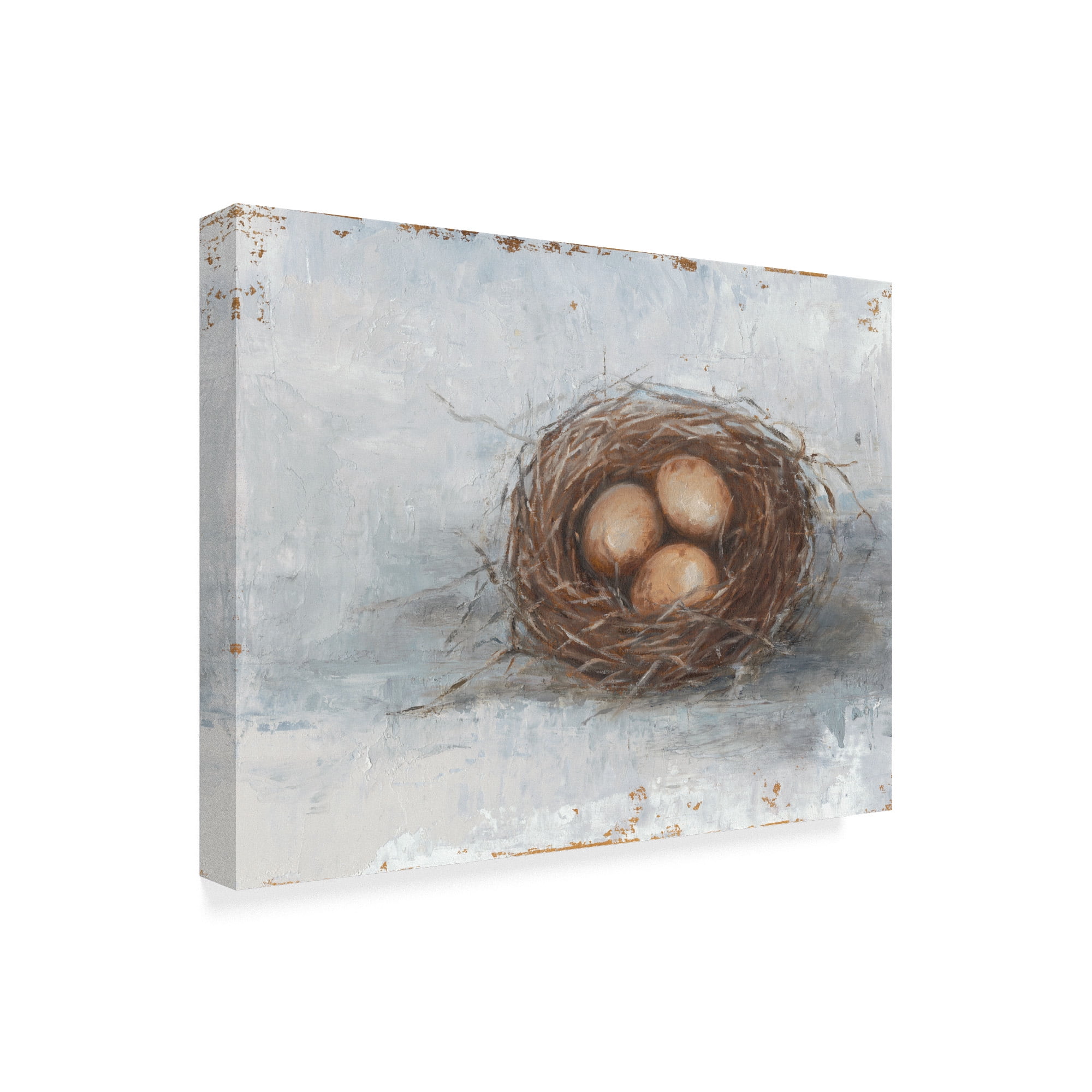 Rustic Bird Nest II' Canvas Art by Ethan Harper