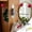 Red, variant on Rotating Wall Hooks Vintage Iron Swivel Coat Rack Beige Wall Mounted for Entryway Bedroom Mudroom