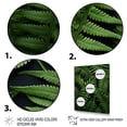 thumbnail image 3 of Designart "Delicate Intricacy Ferns Plant wall art" Floral & Botanical Canvas Print, 3 of 5