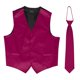 thumbnail image 1 of Chaleco de botón OMEGA + Corbata a juego - Rosa caliente - Pequeño Gravity Threads Sombrero, 1 of 1