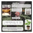 thumbnail image 3 of Semillas Jamaica Vita, 3 of 5