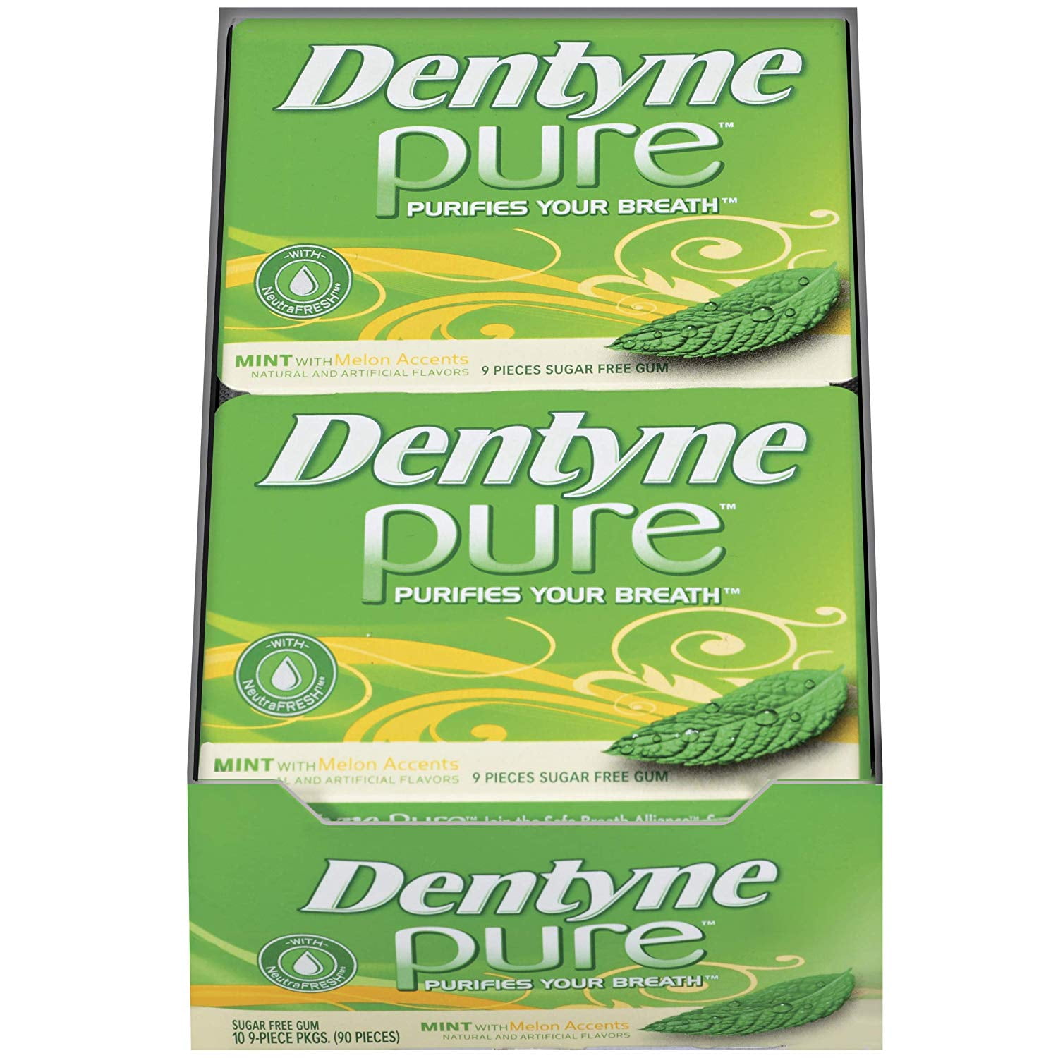 Dentyne Pure Mint with Melon Accents Sugar Free Gum, 10 Packs of 9