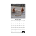 thumbnail image 4 of Calendario De Gatos 2021 Calendario Divertido De Gatos Decoración Interesante Para El Dormitorio De La Sala De Estar Yuarrent HA015654-00, 4 of 7