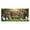 D7, variant on YWIYIUD 1PC Happy Easter Garage Door Decorations Funny Rabbit Easter Door Cover Garage Door Banner for Outdoor Indoor Spring Cute Rabbit Party Photo Background Photography Easter Decoration 7X5 FT