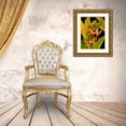 thumbnail image 3 of OToole, Tim 12x14 Gold Ornate Wood Framed with Double Matting Museum Art Print Titled - Dramatic Bird of Paradise, 3 of 4