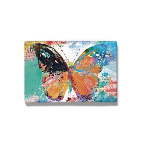 Image Conscious Sprayed Monarch Wrapped Canvas -Porter Hastings Designs, Wall Art 20 x 30 in
