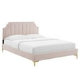 thumbnail image 1 of Modway Sienna Lit Plateforme Grand Moderne en Velours de Performance - Rose, 1 of 12