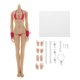 thumbnail image 1 of Fexible sin costuras figura femenina a escala 1/6 cuerpo piel pálida busto grande para perfke Cuerpo femenino sin costuras, 1 of 9
