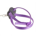 thumbnail image 3 of Adjustable Feather Tether Bird Harness and Leash for Parrot Medium to Large Breed Parrots Parrot Bird Leash Outdoor Harness Training Rope Bird Supplies(Random Color), 3 of 5