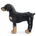 thumbnail image 2 of Double Rear Leg Protection Dog Knee Brace For Acl Knee Cap Dislocation Arthritis Keeps The Warm Extra Support Z, 2 of 5
