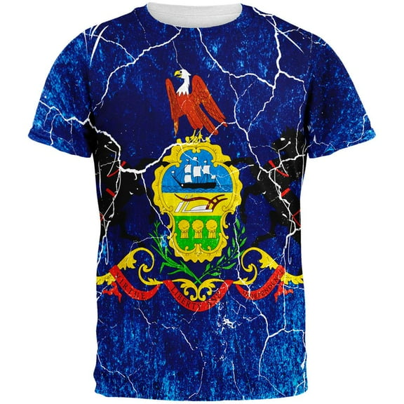 Pennsylvania Vintage Distressed State Flag All Over Mens T Shirt Multi 2XL