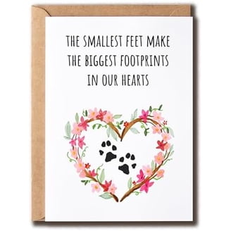Forget Me Not Sympathy Cards Bulk Pack (24) - 4x6 Inch Condolence Cards For Loss Of Loved One Or Pet With Envelopes