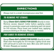 GONE FOR GOOD - Professional Enzymatic Urine, Stain & Odor Remover
