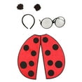thumbnail image 3 of Ladybug Kit, 3 of 5