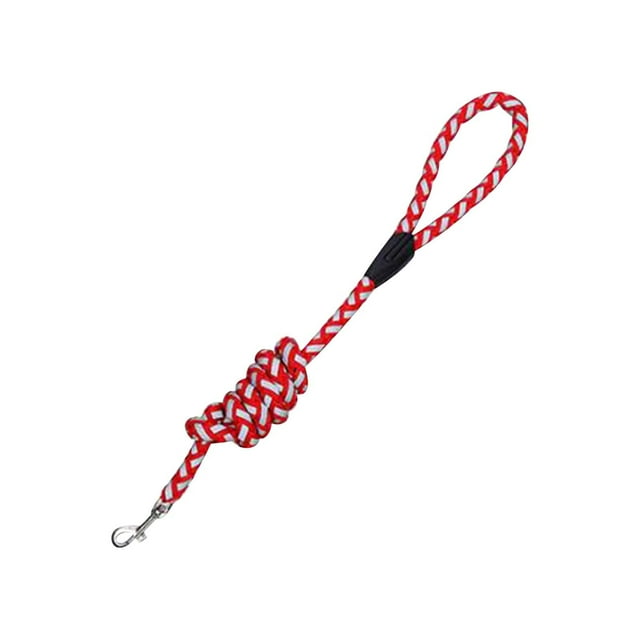 Cadeaux pour Amoureux des Animaux! Tengw Corde de Traction Réfléchissante pour Animaux 5 Couleurs Sangle de Poitrine Ronde Tissée