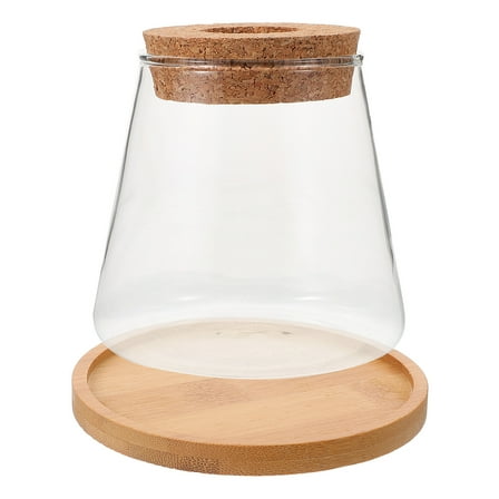 PBPBOX 1Set Glass Fish Bowl Vase with Bamboo Lid for Hydroponic Plants and Fish Home Use