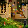 thumbnail image 1 of Multicolor Pathway Lights - 4 Pack C6 Branch Stems, Driveway Outdoor Decorations for Christmas, 1 of 8