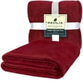 thumbnail image 2 of Super Soft Lightweight Fleece Warm Throw Blanket for Couch Sofa Bed Microfiber, 2 of 9