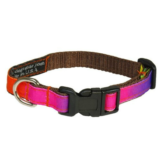 Dog collar rainbow 2025