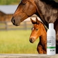 thumbnail image 5 of NEXDERMA Antibacterial Antifungal Pet Herbal Shampoo for Dogs, Cats and Horses - 4 Ounce, 5 of 9