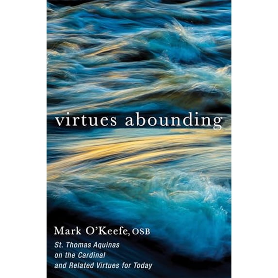 Pre-Owned Virtues Abounding (Paperback) 1532644183 9781532644184