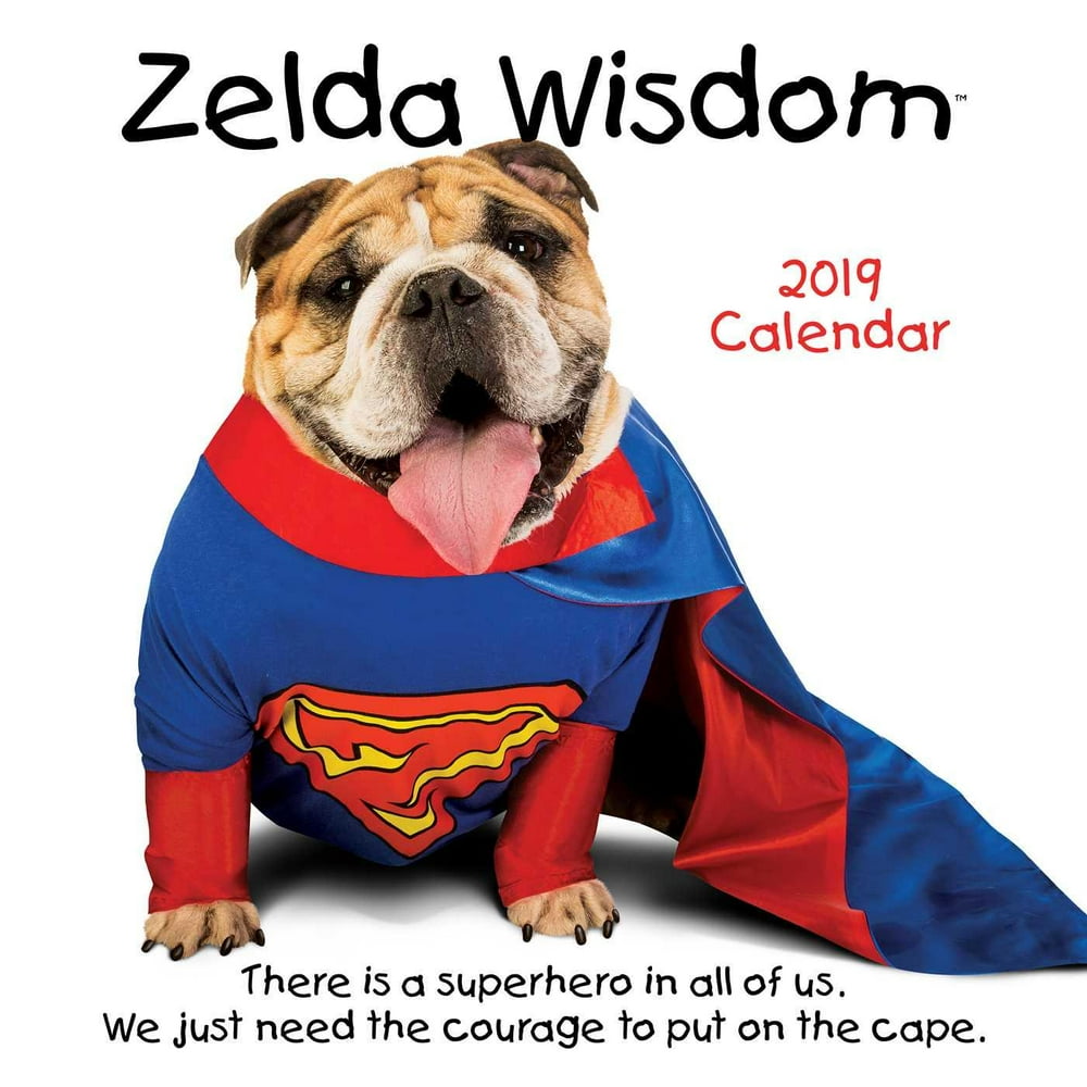 Zelda Wisdom 2019 Wall Calendar (Other)