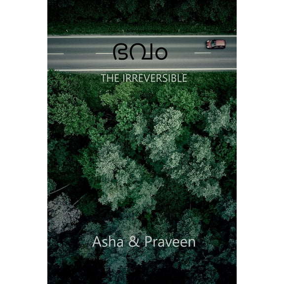 Bhavam: The Irreversible, (Paperback)