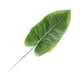 thumbnail image 2 of Kearding 20 bolsas de hermosos arreglos florales verdes con hojas de sandía simuladas, Canna Indica simulada fácil y conveniente Decoración Canna indica grande, 2 of 6